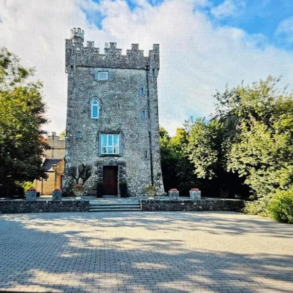 Moyvannan Castle on 7 Acres, hotel en Roscommon