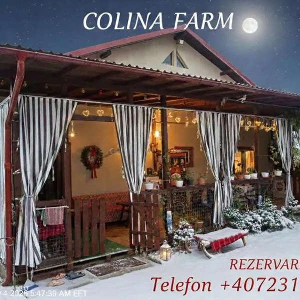 Pensiune Colina Farm, hotel en Găgeni