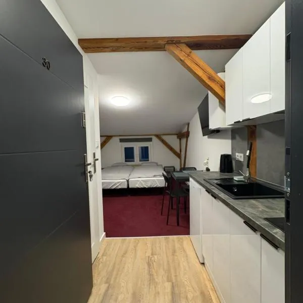 Apartamenty Stary Młyn, Hotel in Wronke