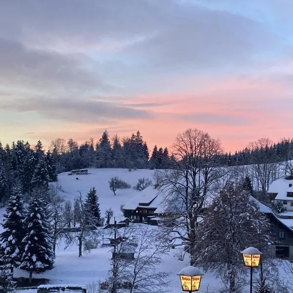 Boutique Hotel & Aparmtents Pension Sternen，托特莫斯的飯店