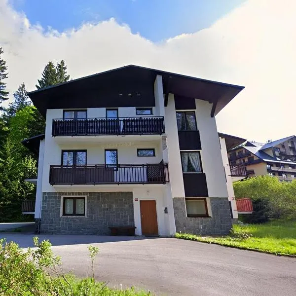 U Lesa Apartmány Harrachov, hotel in Harrachov