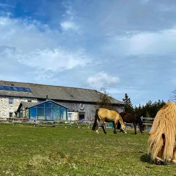 Bio-Bauernhof, Pferdehof Gräser, hotelli 