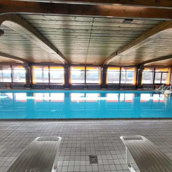 Renovated, swimming pool, sauna, forest, children room, free parking, hôtel à Schonach