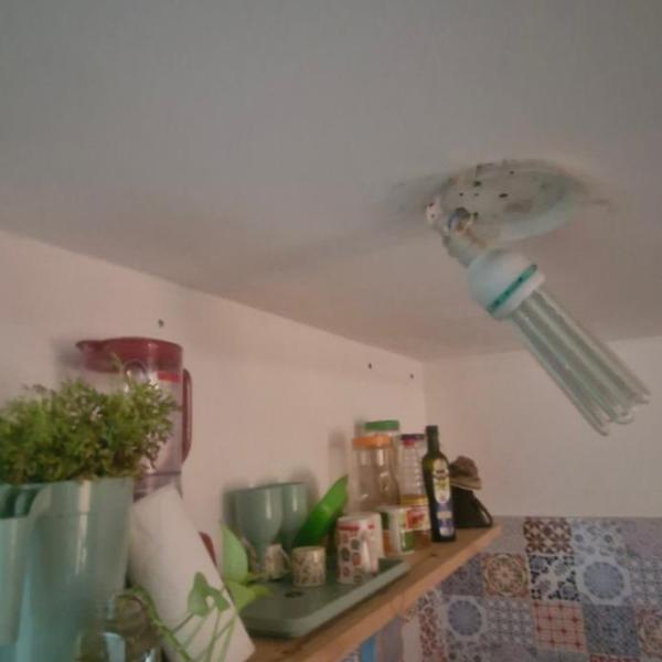 CasAmor - Foto 3