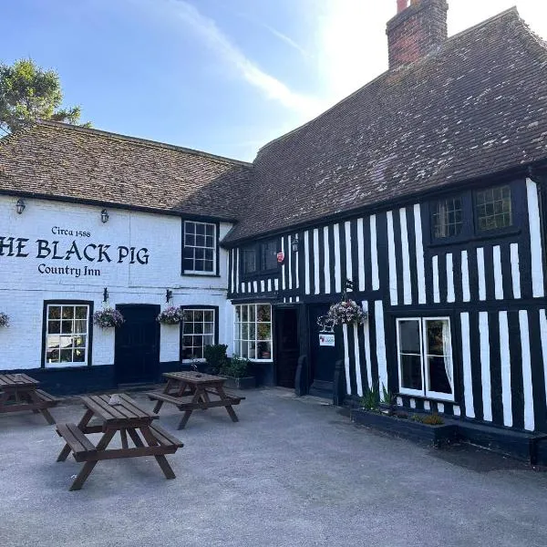 Country inn, hotel i Staple