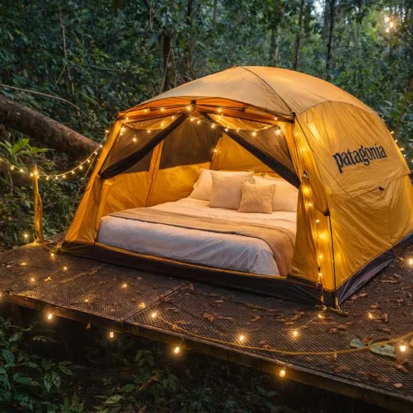 Jungle Overnight:  bir otel