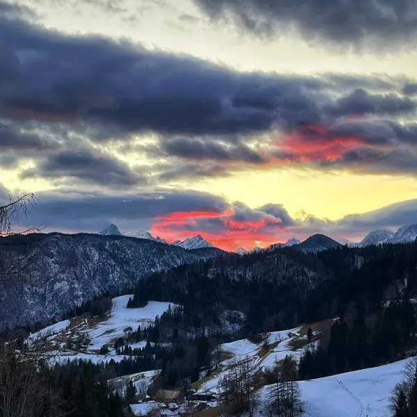 Apartments Farm House Uric, hotel en Jesenice