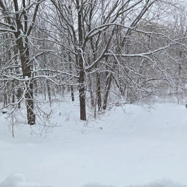 Tranquil Cottage Retreat in Prince Edward County, hotell sihtkohas Demorestville