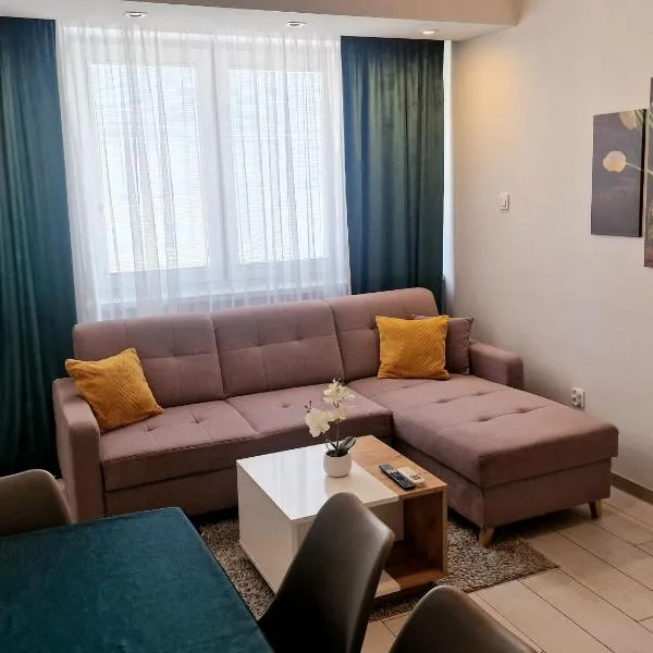 APARTAMENT 2+2、コニンのホテル