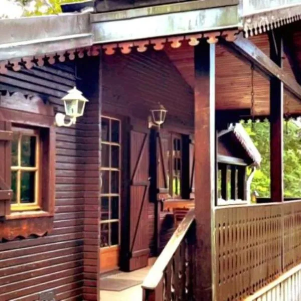 Le chalet du lac de chaumeçon au coeur du morvan, hotel in Saint-Martin-du-Puy