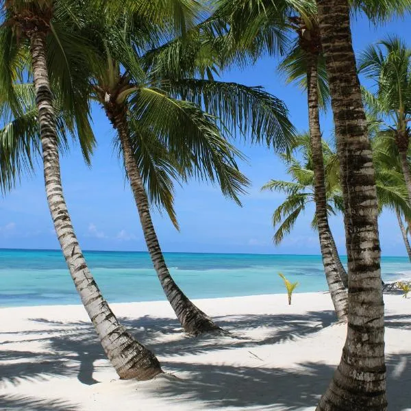 DUCASSI SUITES STUDIOS Vacation HOTEL - Bavaro Beach CLUB - WIFI - PARKING, Hotel in Punta Cana