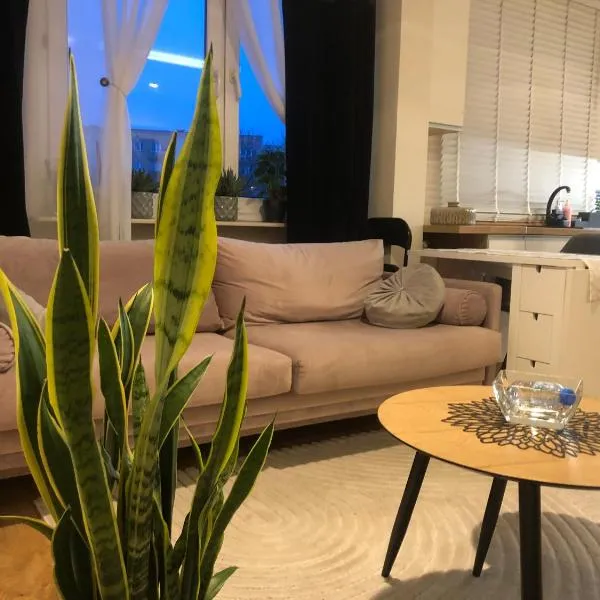 Apartament Klonowa Home -wejście 24h,kod, targi, faktura ,miejsce parkingowe, hotel v destinácii Kielce