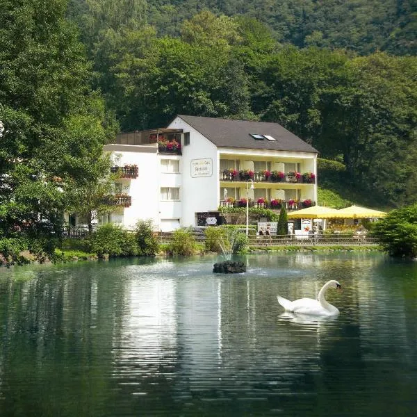 Hotel Residenz, hotel v destinaci Bad Bertrich