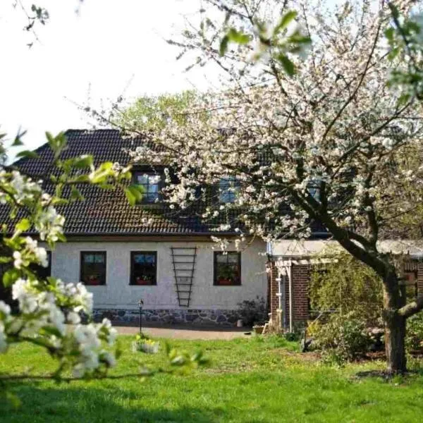 Doppelzimmer mit Bad, готель у місті Möllenhagen