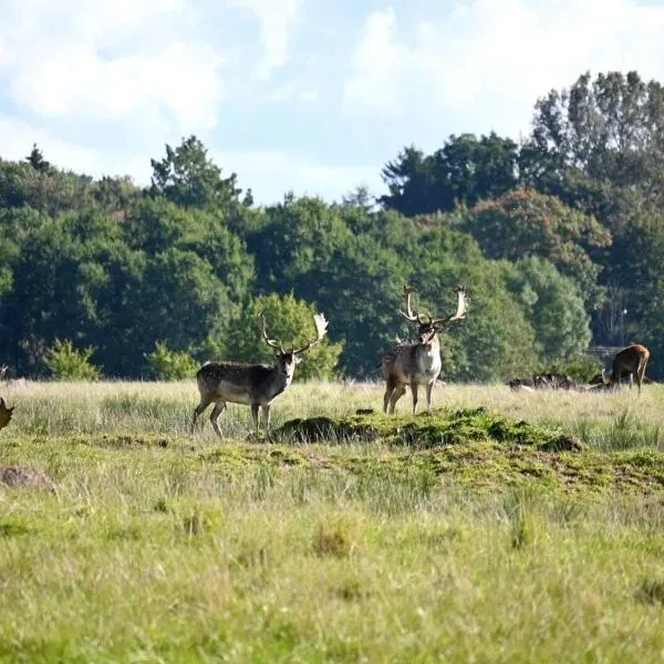 Middelfart Home- nearby free waterpark access, hotel v mestu Middelfart