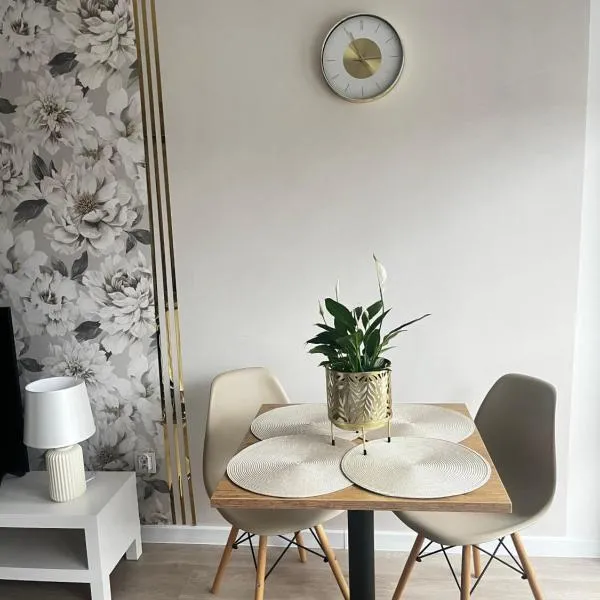 Apartament Rynek Strzelin – hotel w mieście Strzelin