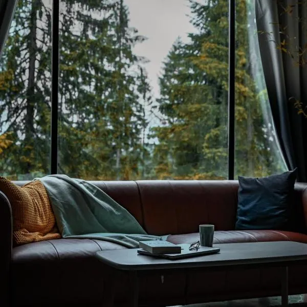 ZlatAir Twins 2, отель в городе Нова-Варош