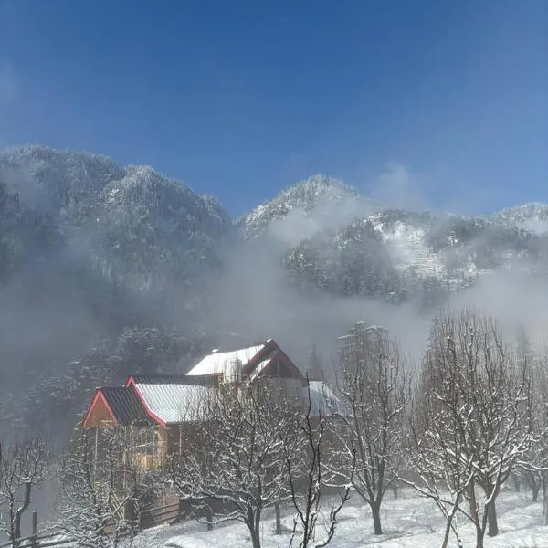 Flamingo Aur Maina Cafe and Stays, hotell i Jibhi