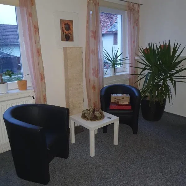 Ferienwohnung zur Apotheke、Hessenのホテル