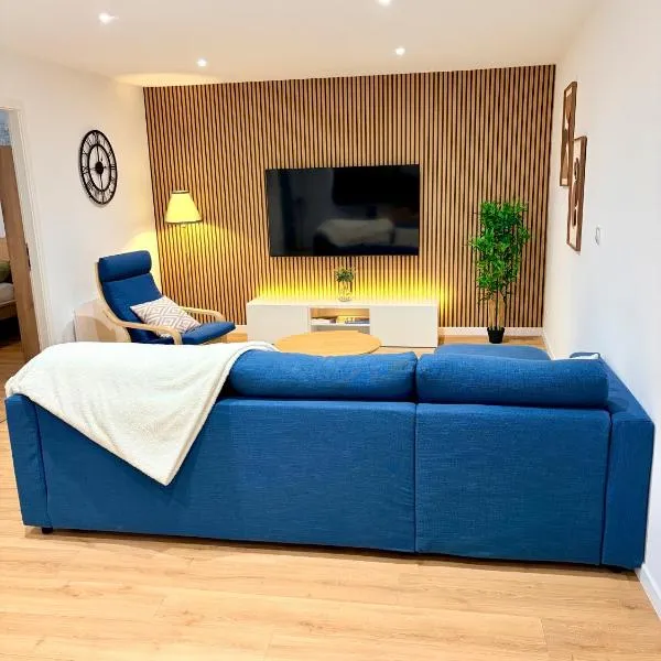 Le Salon des Voyageurs - Dole Historique - Parking Gratuit à proximité, hotell i Dole