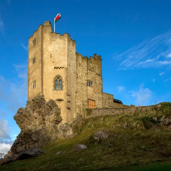 Roch Castle, hotel a Roch