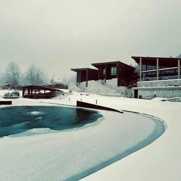 Hotel Ramonda, hotel u gradu 'Boljevac'