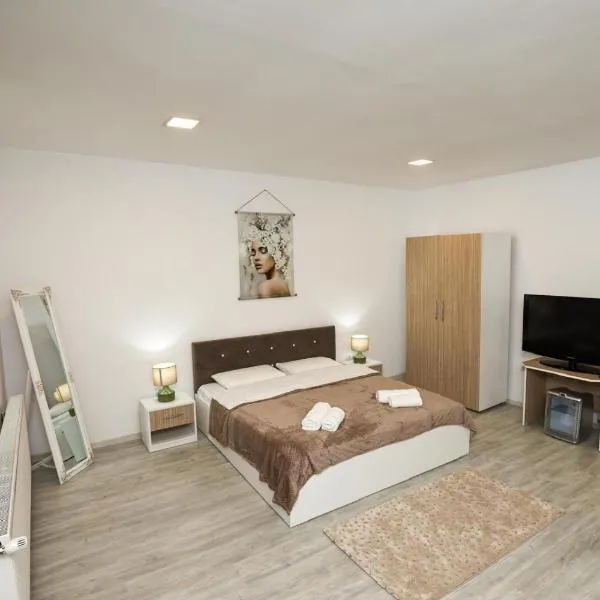 Danser Residence Reșița, hotel sa Reşiţa