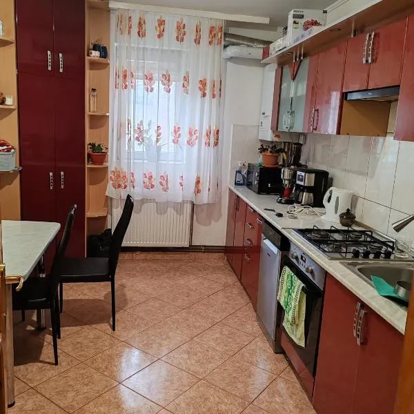 Diana, hotelli kohteessa Bistriţa