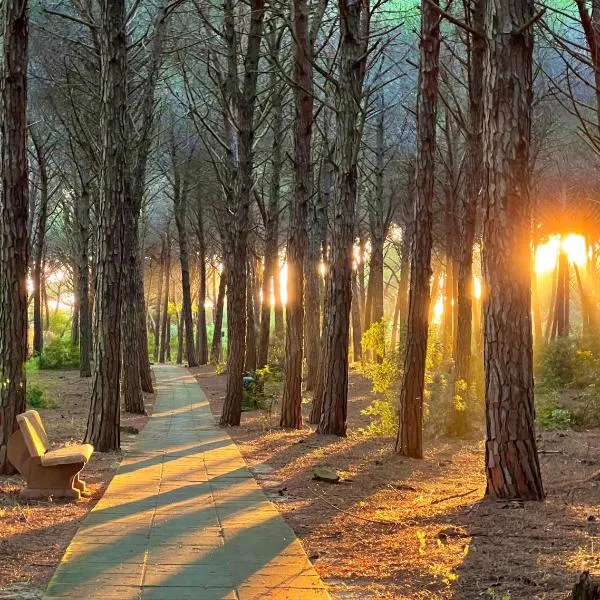 Casa Vacanze "Pizzo Sorriso Del Mare", hotel en Pizzo