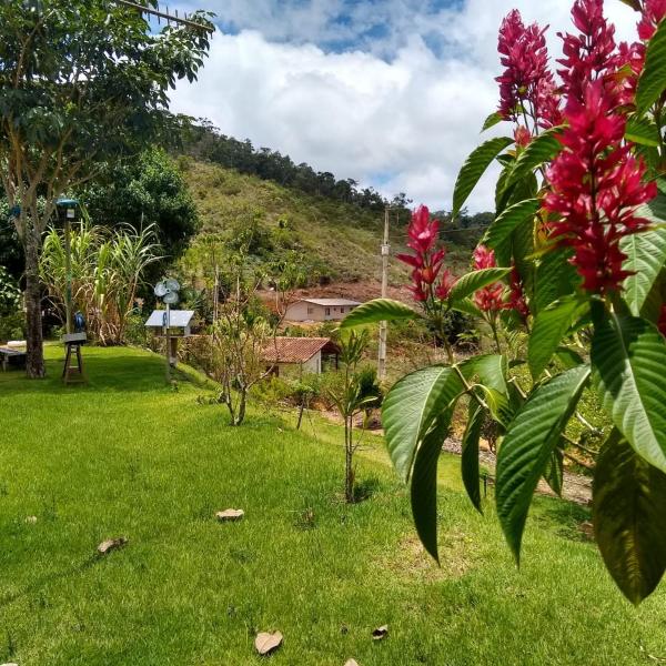 Sitio Cantinho Doce - Foto 3