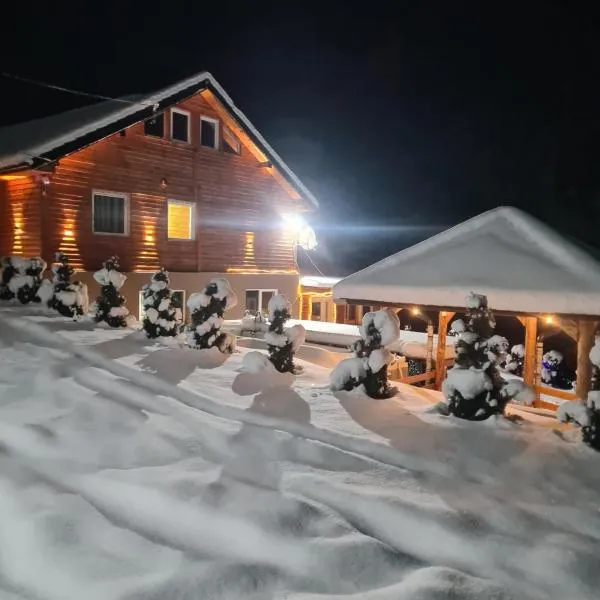 Šumska vila Gašić, hotel i Kopaonik
