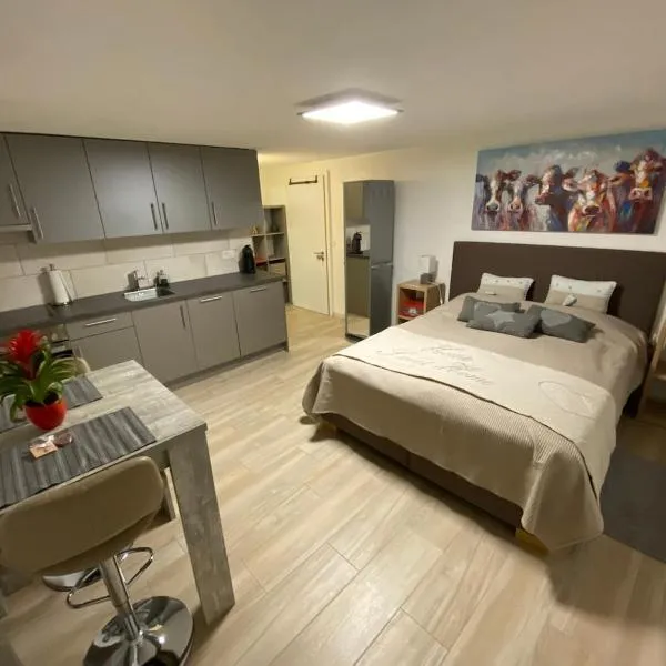 Magnifique studio en-dessus de Martigny, hotel em Martigny-Combe