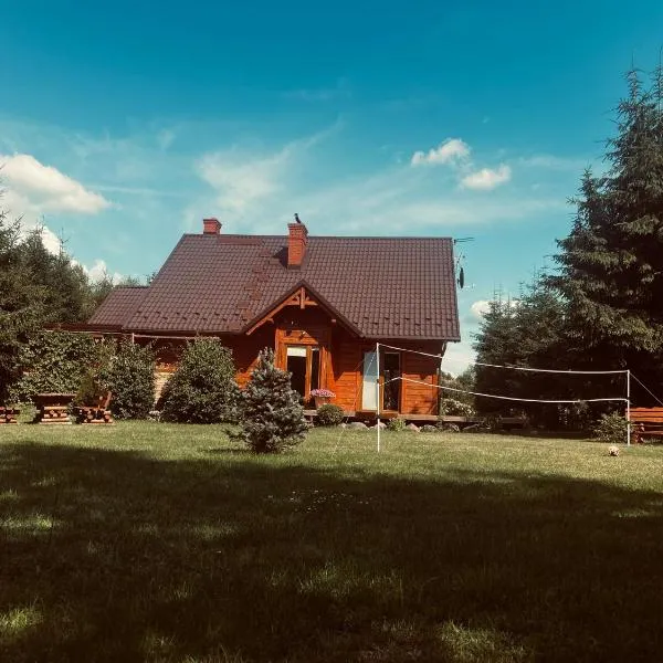 Drewniany dom w Borach Tucholskich "Twoja Ostoja", hotel em Brusy