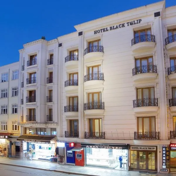 Hotel Black Tulip, hotel in Istanbul