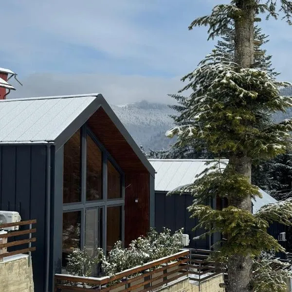 Norway Cabins - Private Terrace & Fire Pit, hotel en Sinaia