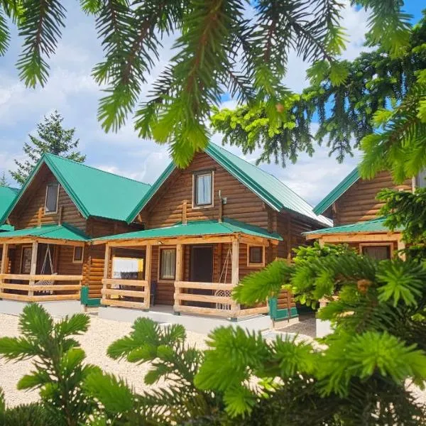 Green Top Durmitor, hotel v destinaci Žabljak