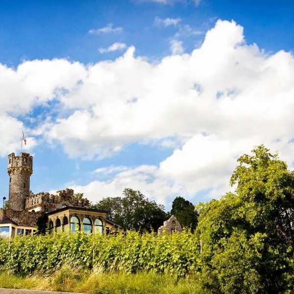 Burg & Gästehaus by Schwarzenstein, hotel v destinaci Geisenheim
