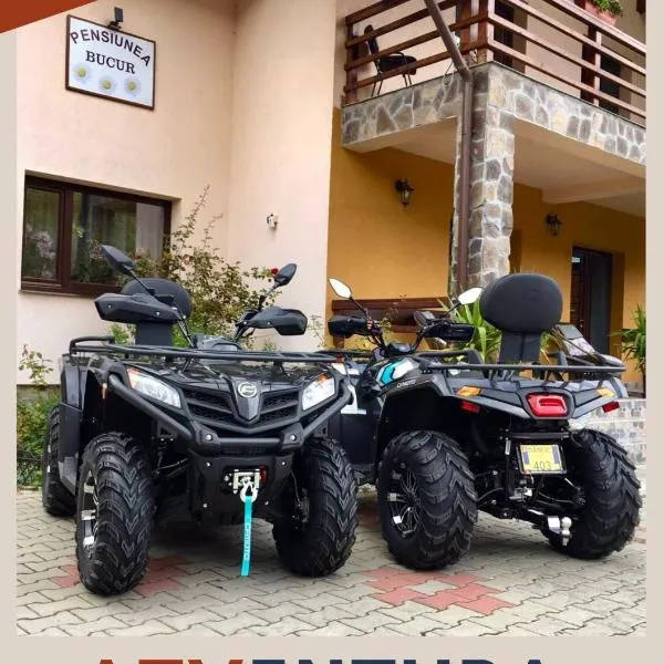 Pensiunea Bucur、Dămucのホテル