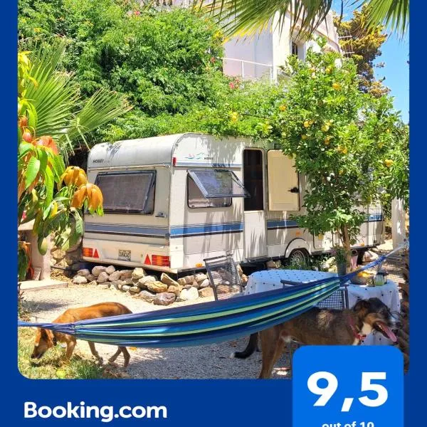 Caravan in Finca Molino in Almayate with with pool, family touch and dog madness, отель в городе Альмайяте-Альто