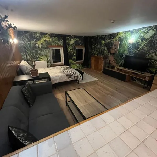 Charmant studio, hotel Saales városában