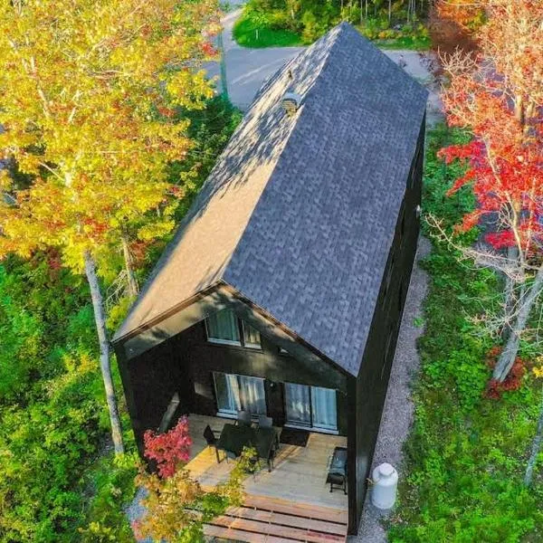 La Fleur Urbaine de Portneuf : 2.5 bathrooms, Hot tub, Sauna and Pool, hotelli kohteessa Pont-Rouge