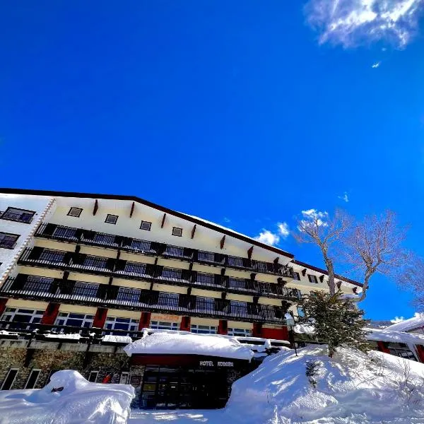 Hotel Kodama, hotell i Yamanouchi