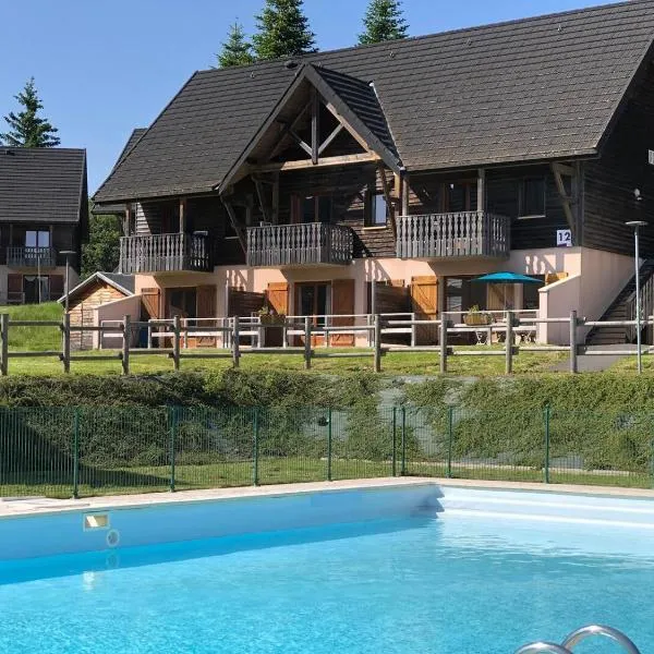 Les Mouflons, appartement 4 à 6 personnes, hotel en Besse-et-Saint-Anastaise