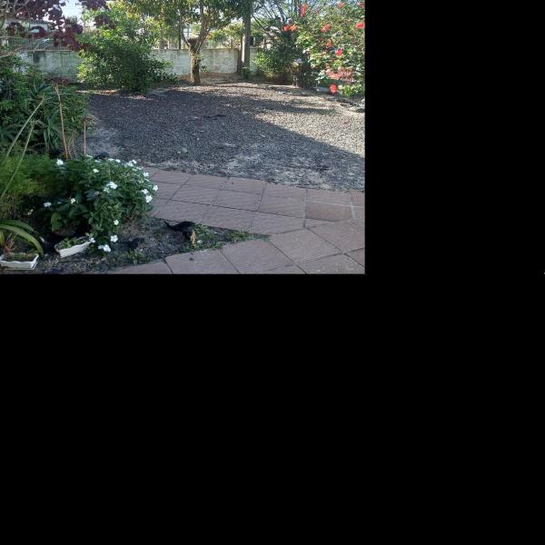 House in the center of Paso de Torres - Foto 5