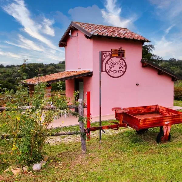 Casale dei Lamponi a "le Moline" vita in fattoria, hotel em Vetralla