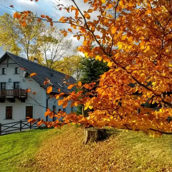 Penzion Stanský Mlýn, hotel v Hlinsku