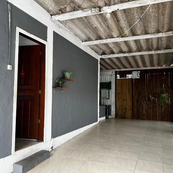 Ipe amarelo - Foto 2