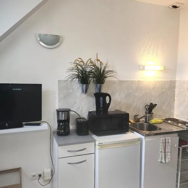 Le Studio Royal Place Victor Hugo, хотел в Гренобъл