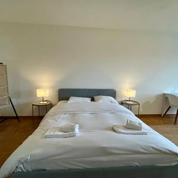 Cozy Studio in Witikon District, hotel a Zurigo