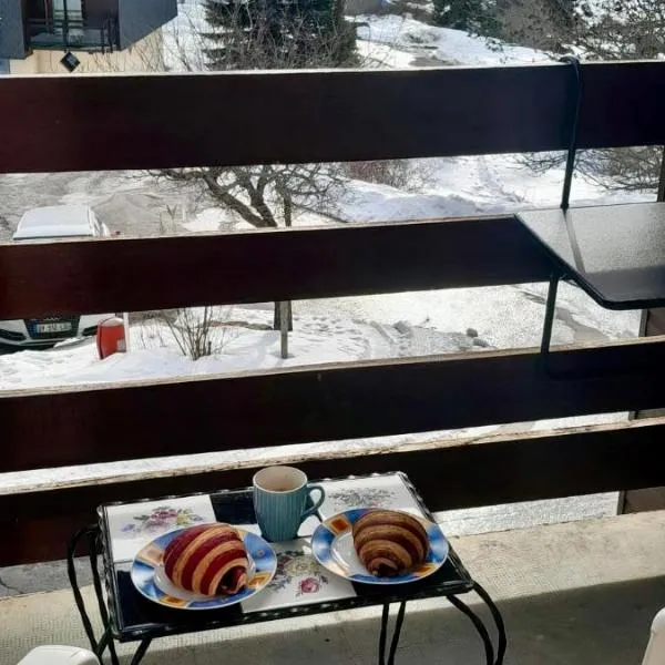 Appartement T3 Font-Romeu, hotel in Font-Romeu-Odeillo-Via